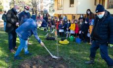 Sedici nuovi alberi alla scuola dell'infanzia Mario Lodi - Foto