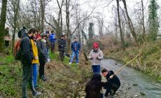 Nitrati e fosfati sorvegliati speciali nelle nostre acque