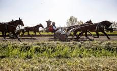 Gocciadoro, l'uomo che &laquo;incanta&raquo; i cavalli