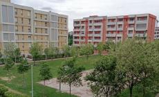 Residente del quartiere Parma Mia sgrida dei ragazzi, colpito alla testa con un bastone