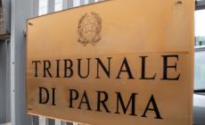 Aggredì due carabinieri, 21enne patteggia un anno