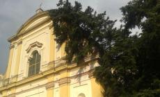 Pino si «appoggia» sul tetto della chiesa
