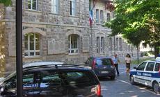 Animali vaganti, chi li cattura diventa il loro proprietario