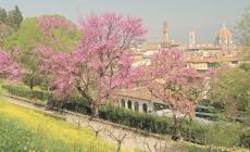 Tutti conoscono e amano Firenze. Ma ci sono angoli ancora da scoprire