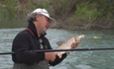 A Pesca con Afro