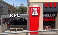 Ladro nel fast food: lunga scia di danni