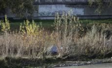 Tende di senzatetto nel greto della Parma