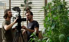 Due registi parmigiani nel paese dei coltivatori di marijuana