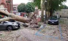 Temporali sull'Astigiano e sul Torinese, ingenti i danni