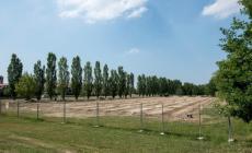Dall'Olio: "Parco di via Jacobs, smontata la politica elettorale di Pizzarotti"