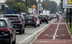 Pista ciclabile da Parma a Collecchio: previsto il taglio di 96 platani