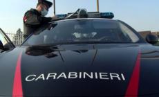 Sequestrati dai Nas 250 confezioni di giocattoli  in un negozio di Fidenza