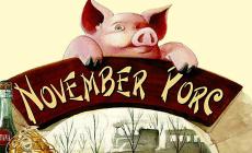 November Porc in tv