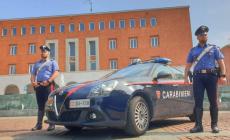 Razzia alcolica con morsi finali al vigilante