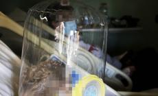 Pneumologie, i reparti resistono: «Ma il rischio terza ondata è elevato»