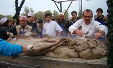 Polesine sogna il record con il maxi «pretone»