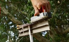 Orienteering, febbre da Mondiali