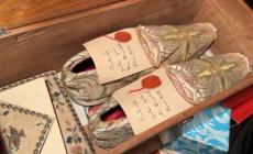 Le rarit&agrave; di Cavalli in cerca di un museo