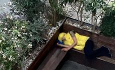 &laquo;Vivono e fanno i loro bisogni in strada&raquo;: L'allarme dei commercianti del centro