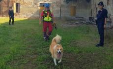 Il giallo del 24enne sparito: la Bassa battuta a tappeto