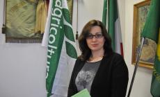 "Nuova Pac, le incertezze sul greening rendono impossibile prevedere le semine"