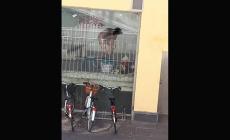 Il degrado  va in scena in Ghiaia (e sui social) Le foto
