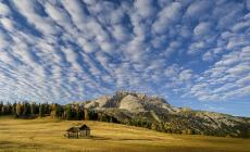 "Natura tra le pagine": 26 foto in mostra 