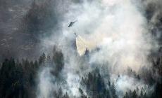Emergenza incendi in Svezia, roghi anche nell'Artico