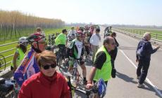 Bicinsieme alla scoperta della via Francigena