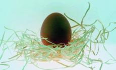Pasqua, le regole salva-denti per chi ama il cioccolato