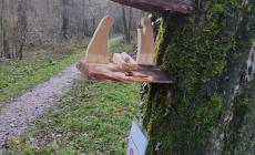  I presepi naturali di Scipione