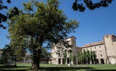 Dal 20 agosto torna il mercato in piazza della Pace