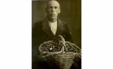 Autunno, Campora patria dei marroni