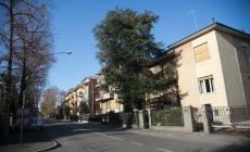 &laquo;Signora, ha sub&igrave;to un furto&raquo;. Ma i ladri sono loro