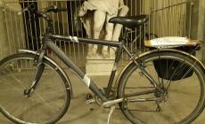 Ruba una bici in piazza e un mattone della Pilotta e tenta la spaccata in un negozio: denunciato