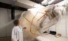 Centro oncologico, lavori in dirittura d'arrivo: l'inaugurazione a dicembre