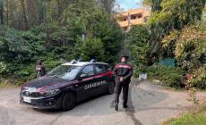 Tabiano, eccesso di profughi e alberghi chiusi ma &laquo;abitati&raquo;