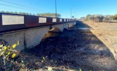 Cesari: «Enza, in caso di piena scenari catastrofici»