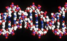 Creato  nuovo dna: un passo verso la vita artificiale  