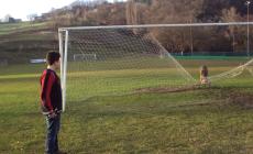 Daino prigioniero nel campo sportivo: lo salva la polizia provinciale