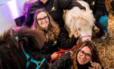 L'empatia degli animali? Una terapia. La fattoria di Rebecca sbarca a Verona