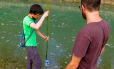 Acque inquinate, i nostri canali «sorvegliati speciali»