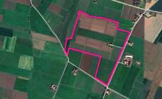 Arpae ha detto «no»: l'impianto a biogas di Sissa Trecasali non si può fare