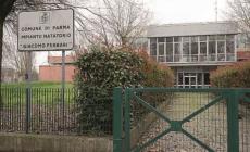 &laquo;In via Zarotto la piscina &egrave; lasciata al degrado&raquo;