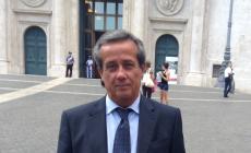 Romanini entra in Commissione Agricoltura