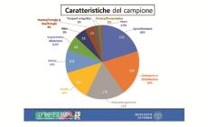 Aumentano i ricavi: + 5%