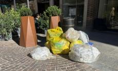 Vignali: «Rifiuti, in dieci mesi 2.501 abbandoni: bisogna tornare al cassonetto»