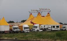 Fidenza: animali al circo, esplode la polemica