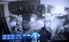 San Polo di Torrile: furto con spaccata al bar Barile