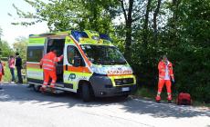 Travolto da un furgone: muore mentre porta a spasso il cane